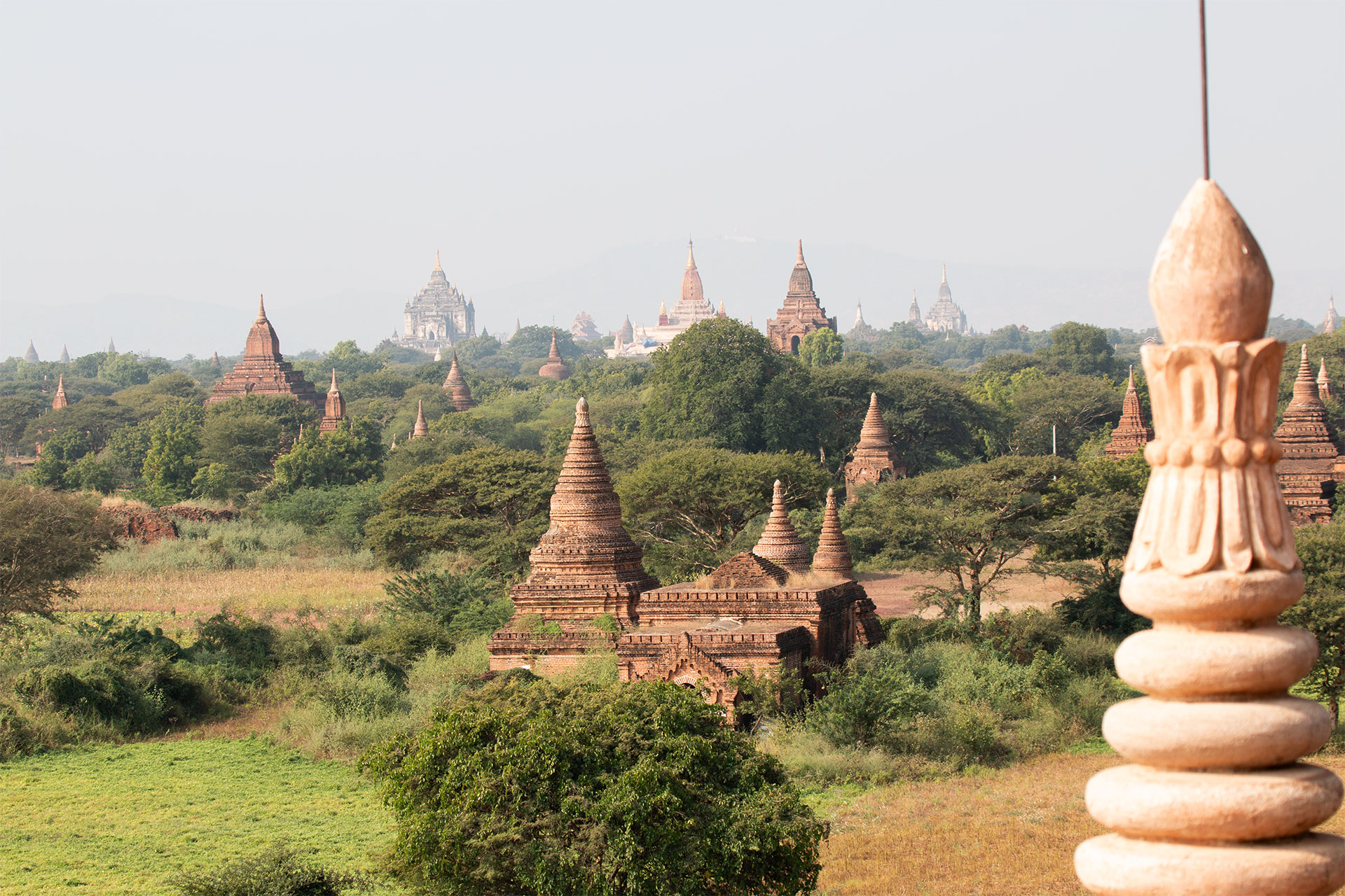 A field of temples