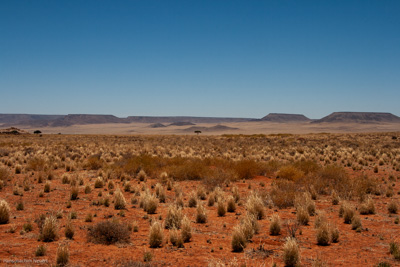 Landscape | Namibia